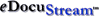 DS Logo